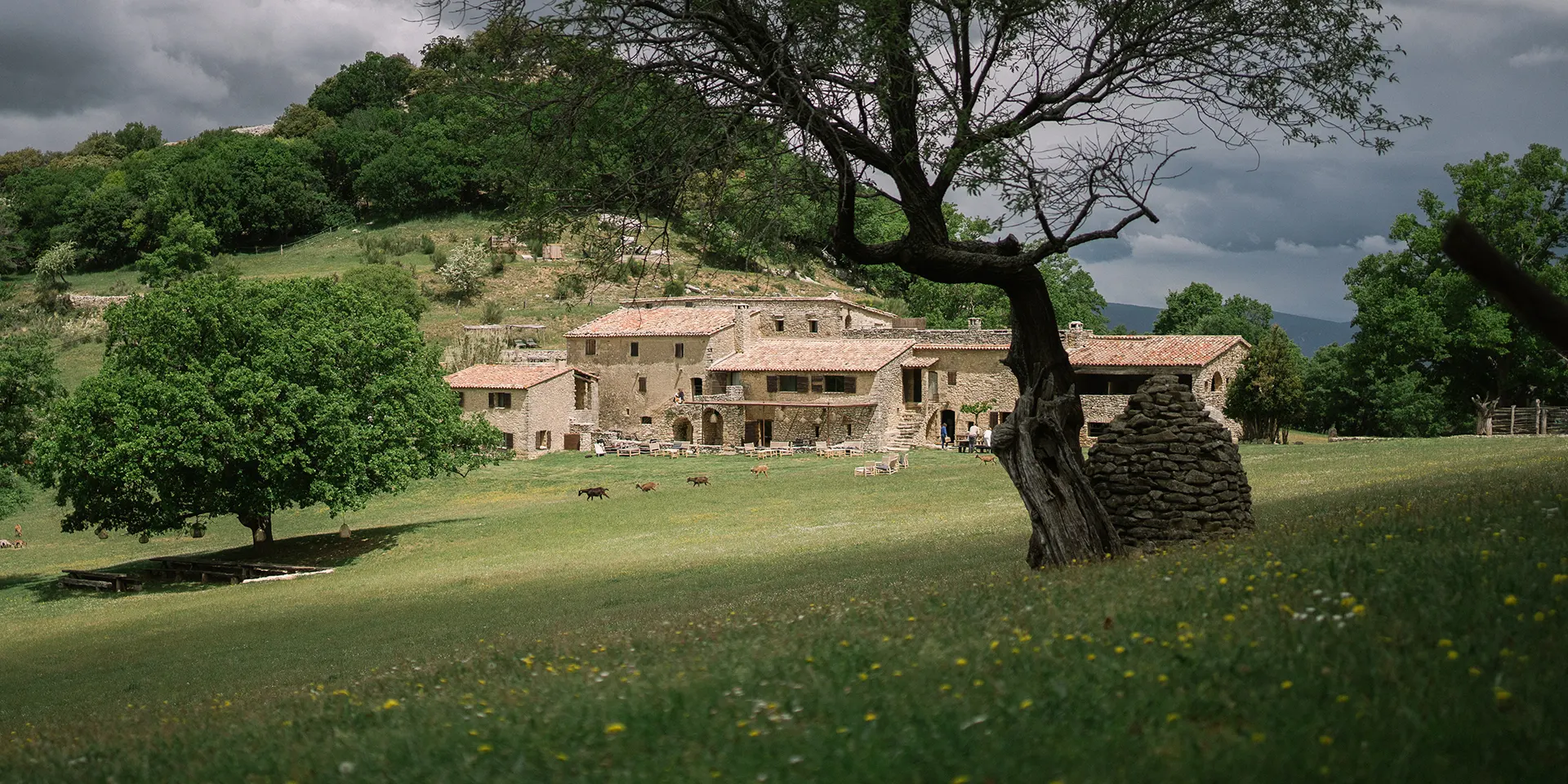 Séjours détox dans le Lubéron