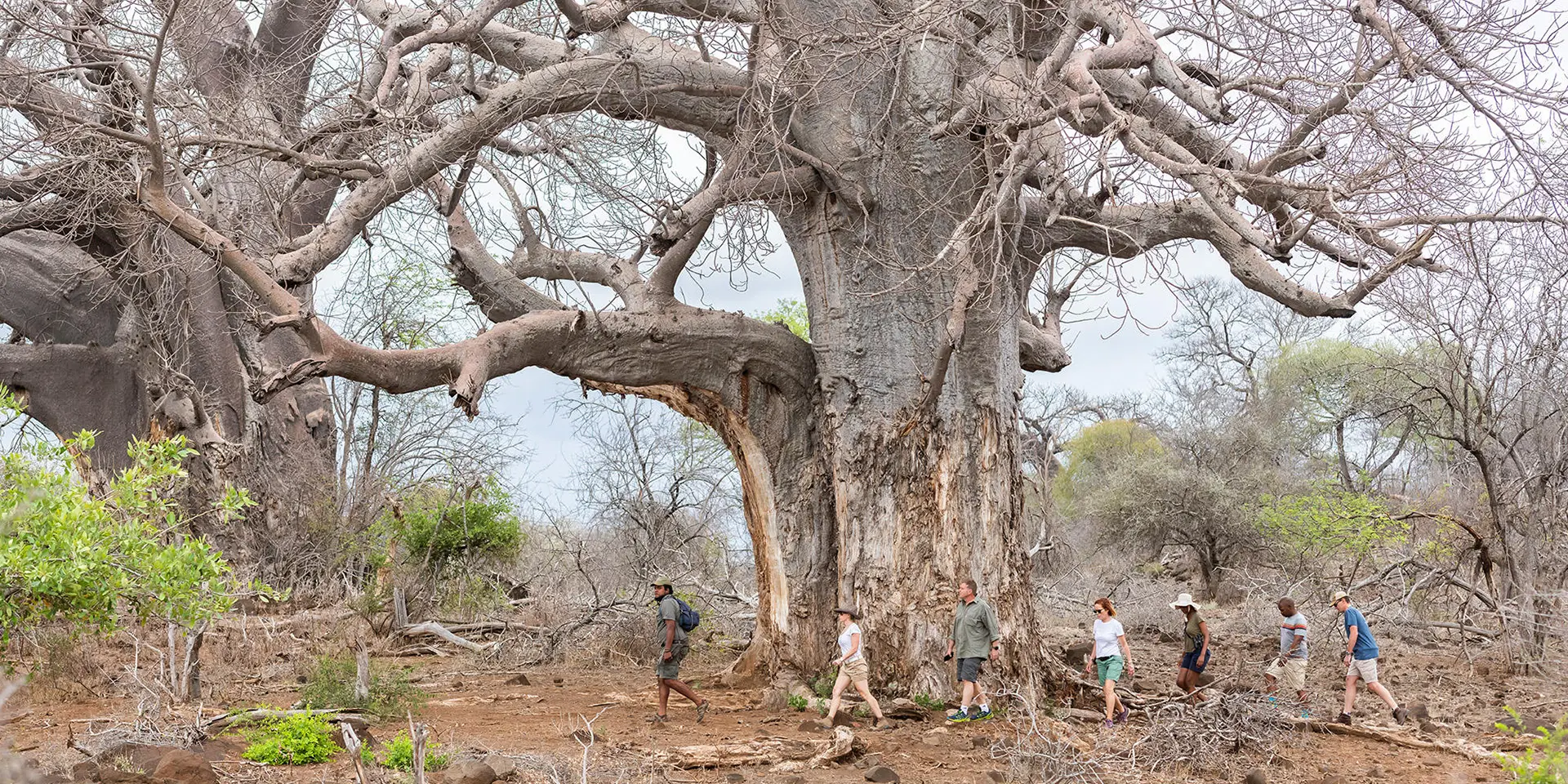 Séjour détox en Afrique du Sud