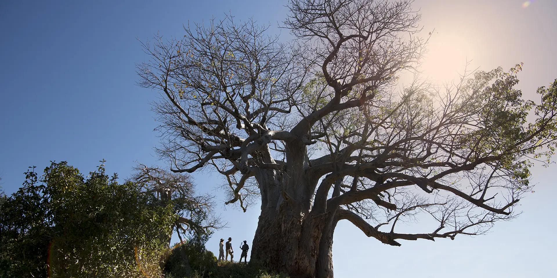 Séjour détox en Afrique du Sud