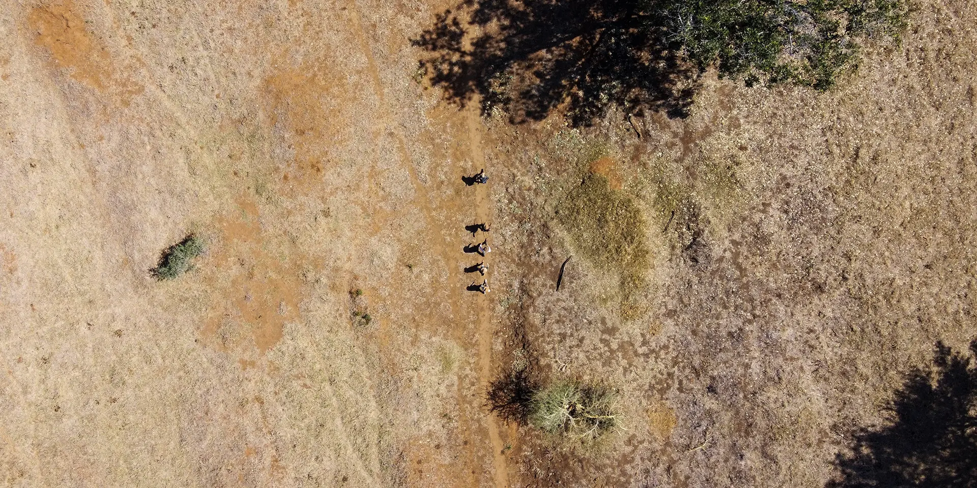 Séjour détox en Afrique du Sud